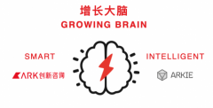 ARK“增长大脑”： 场景构建 智能内容运营双驱动，实现品牌可持续增长